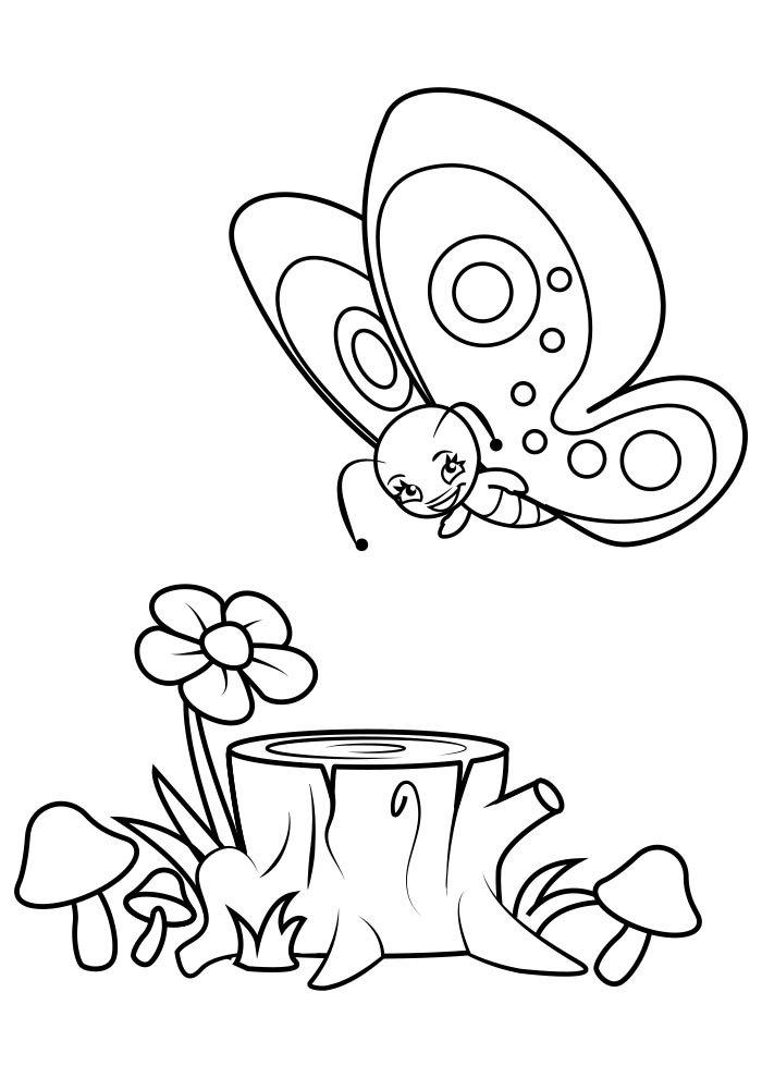 desenhos de insetos para imprimir