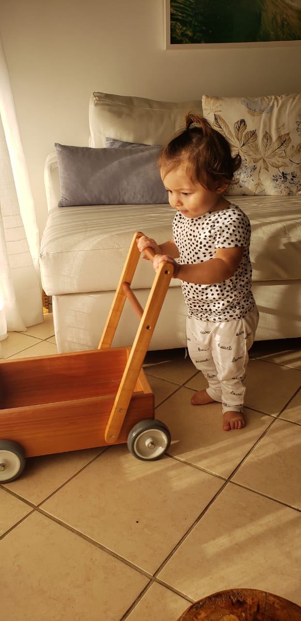 carrinho de brinquedo de madeira personalizado