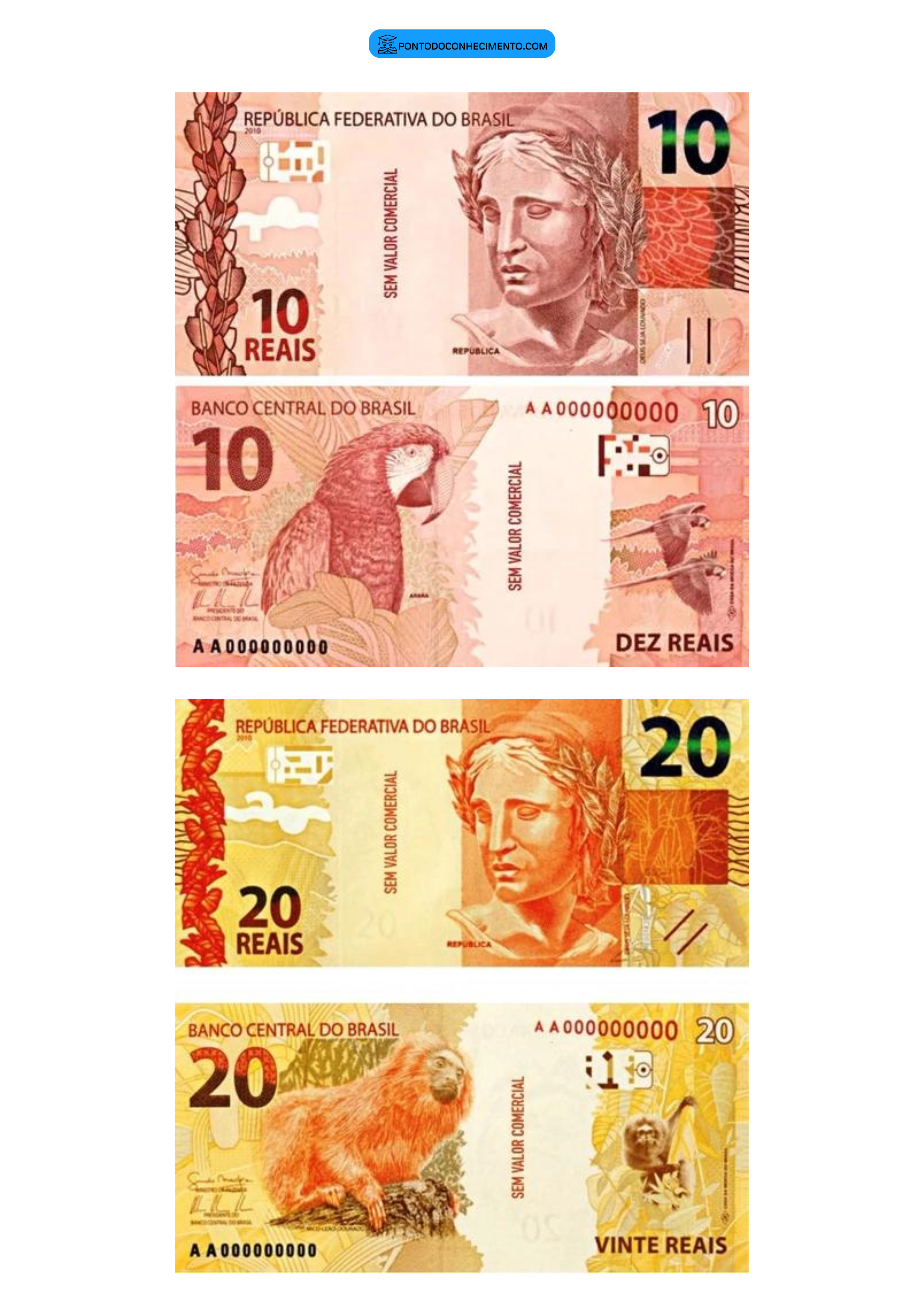 dinheiro fictício para atividades