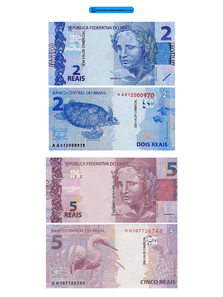 notas de dinheiro para imprimir