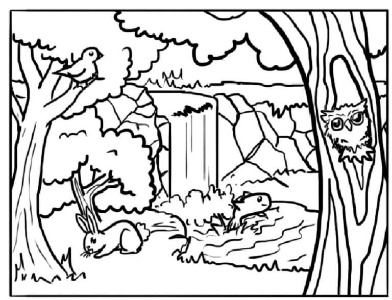 desenhos de cogumelos para colorir