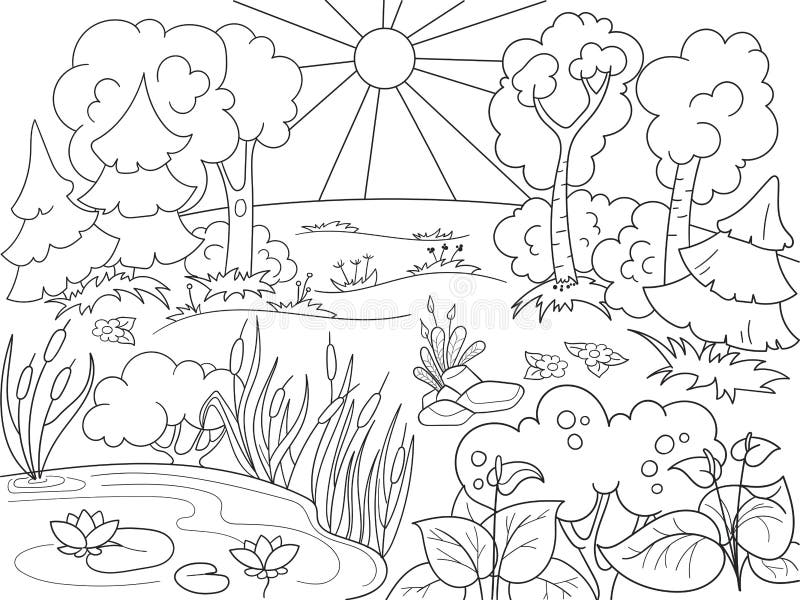 desenhos de floresta realista para colorir