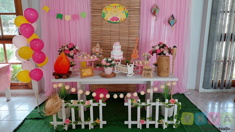 aniversário arraiá infantil