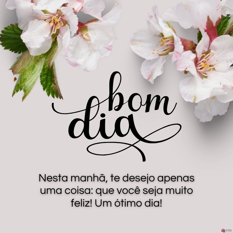 baixar figurinhas de bom dia engraçadas