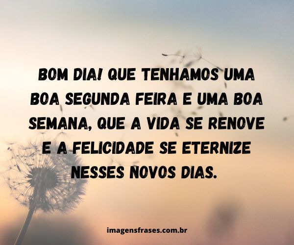 frases para desejar uma ótima semana