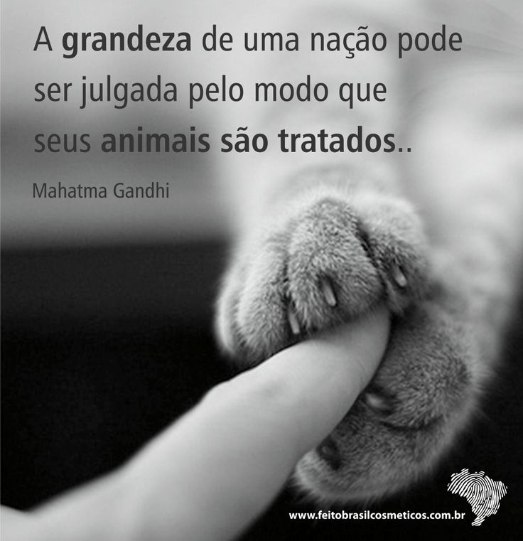 frases sobre paz gandhi