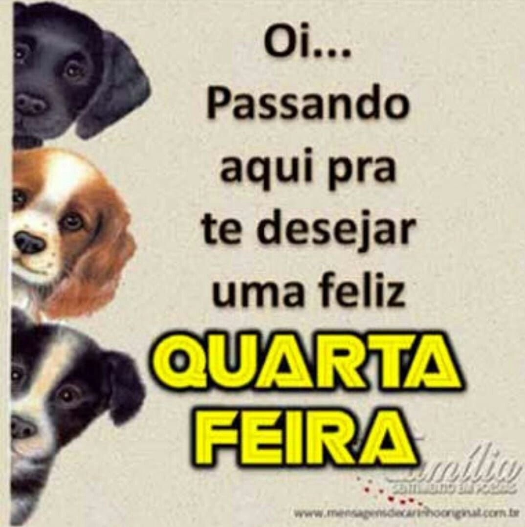 memes de quarta-feira