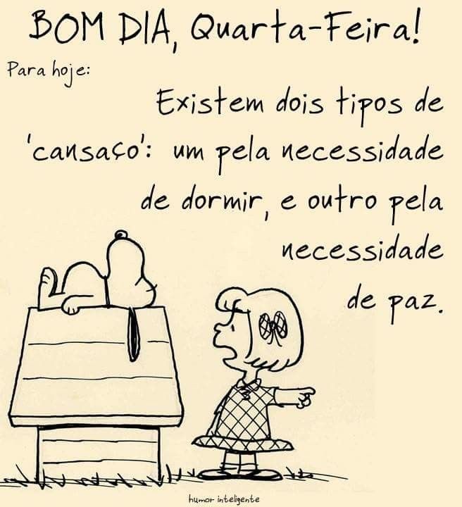 status de quarta-feira engraçados
