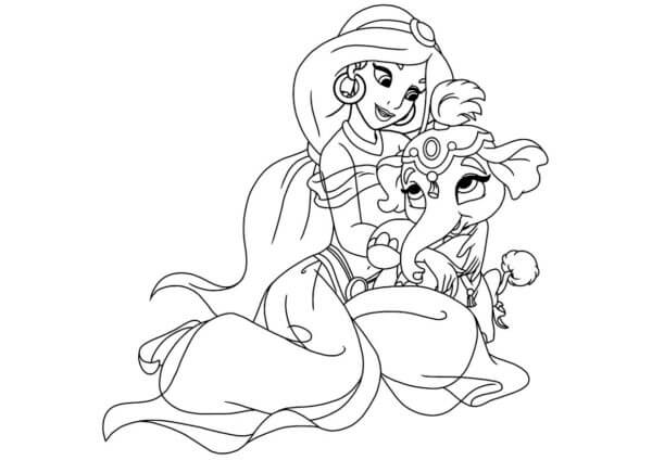imagens da jasmine para download grátis