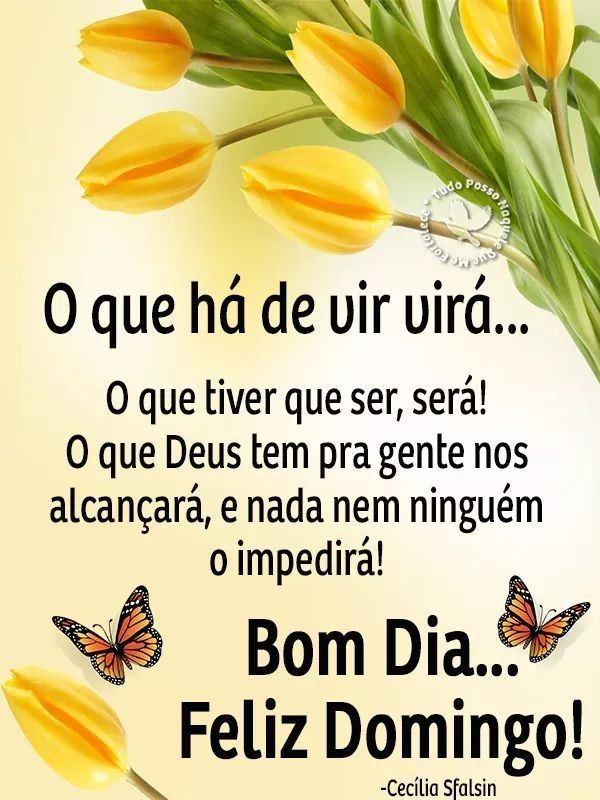 textos curtos bom dia domingo