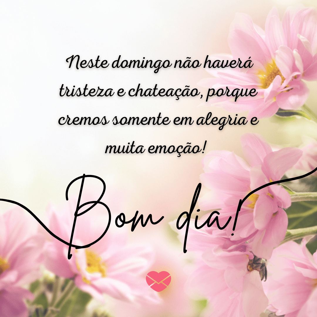 mensagens de bom dia para família domingo