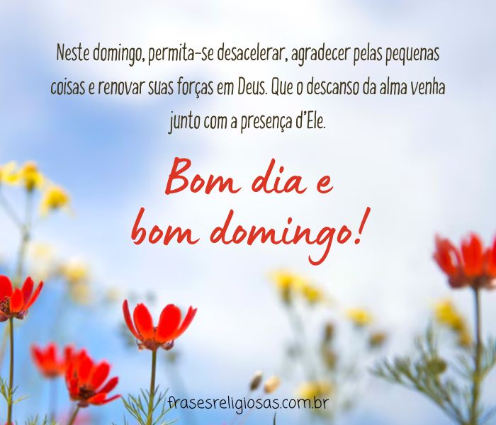 bom dia domingo com alegria