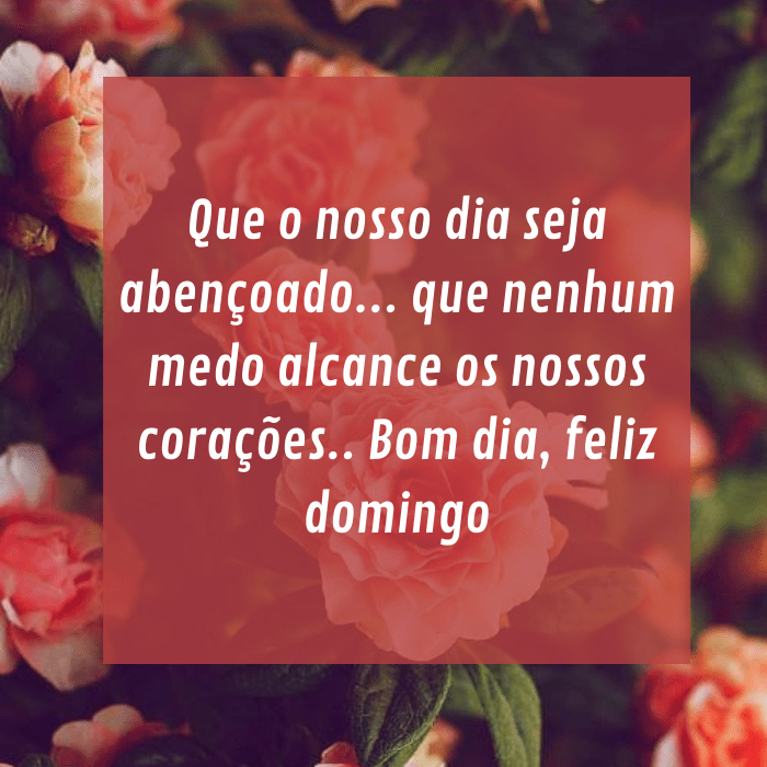 mensagens de bom dia abençoado domingo
