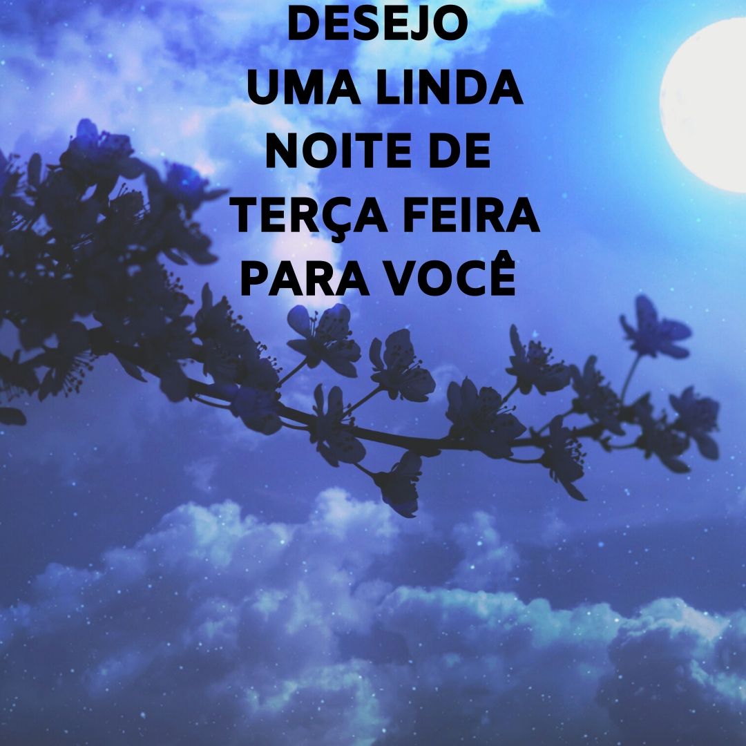 pensamento de boa noite para terça