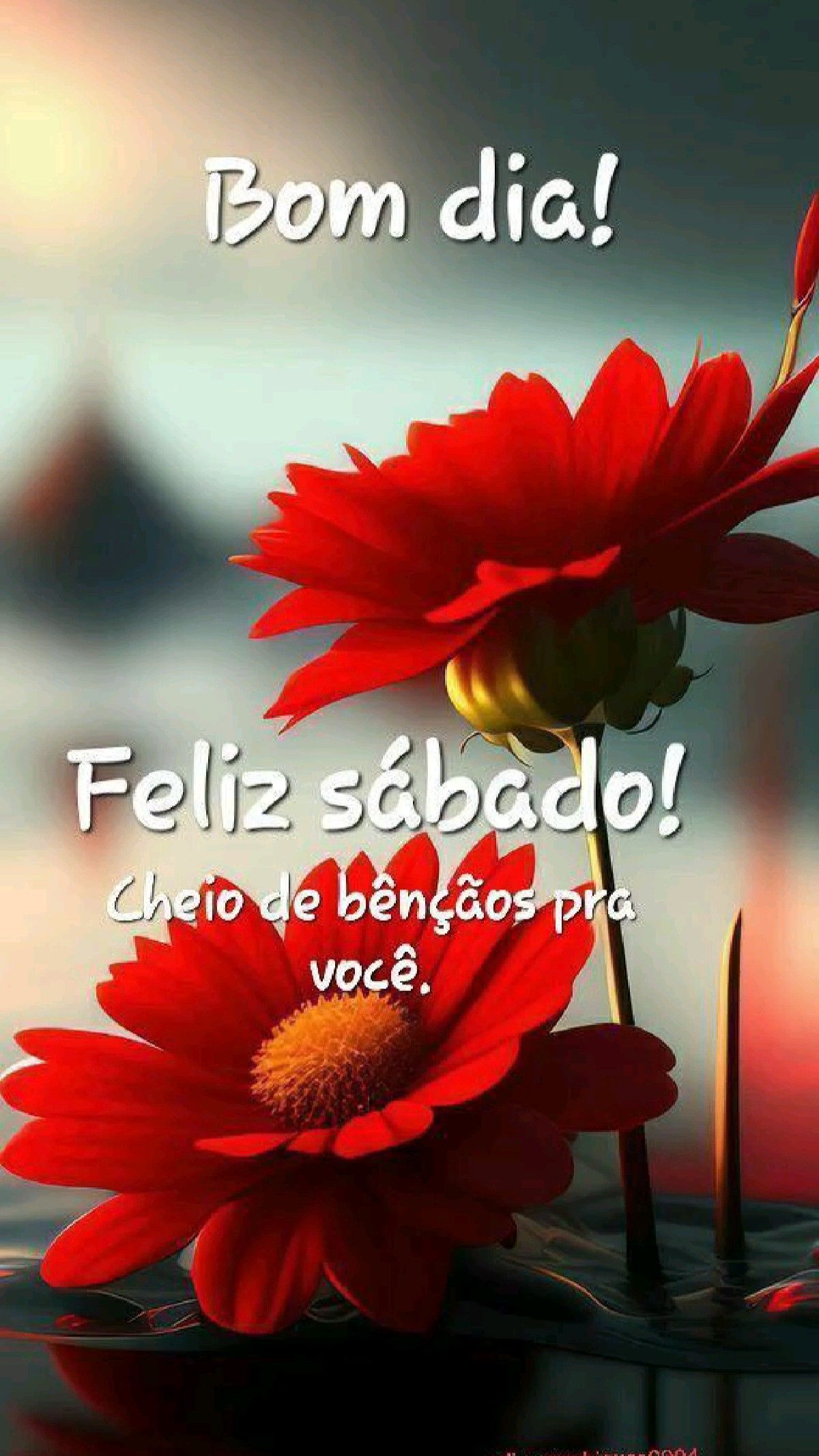 bom dia sábado abençoado