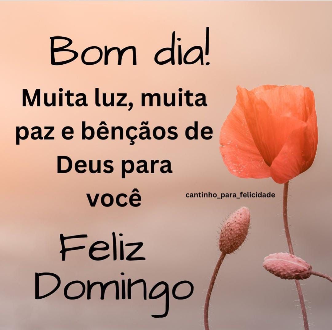 desejos de feliz domingo para amigos