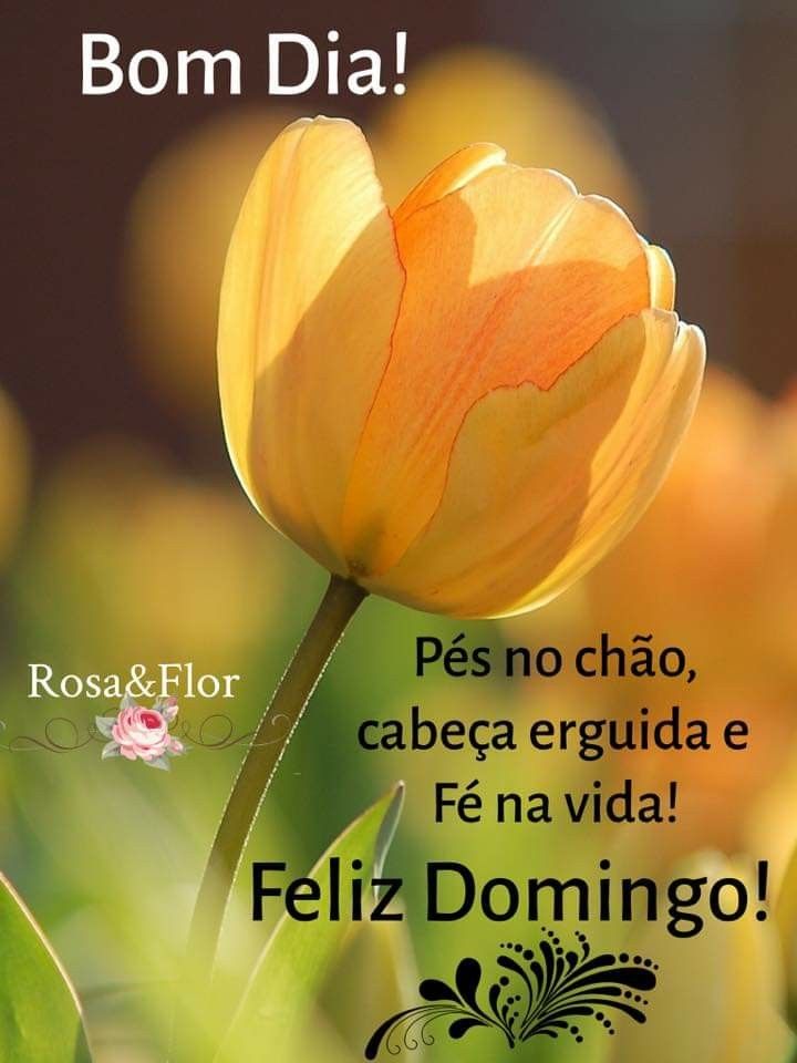 bom dia de domingo com paz