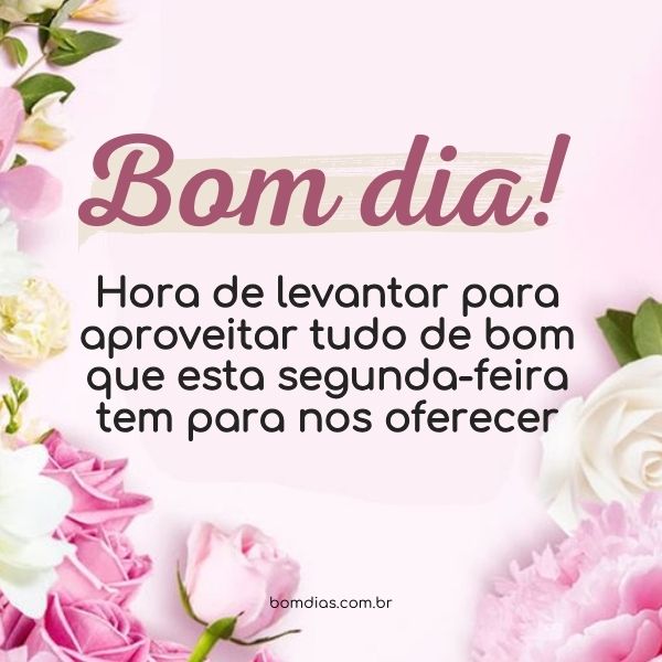 frases motivacionais segunda-feira