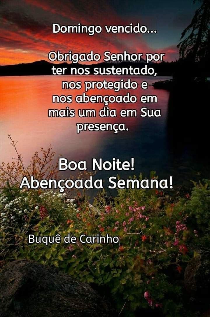 frases de boa noite domingo para status