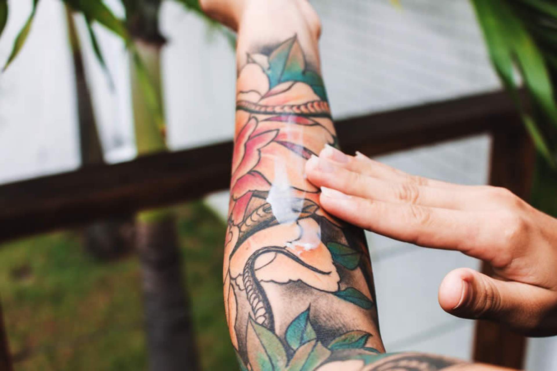 cicatrizante de tatuagem