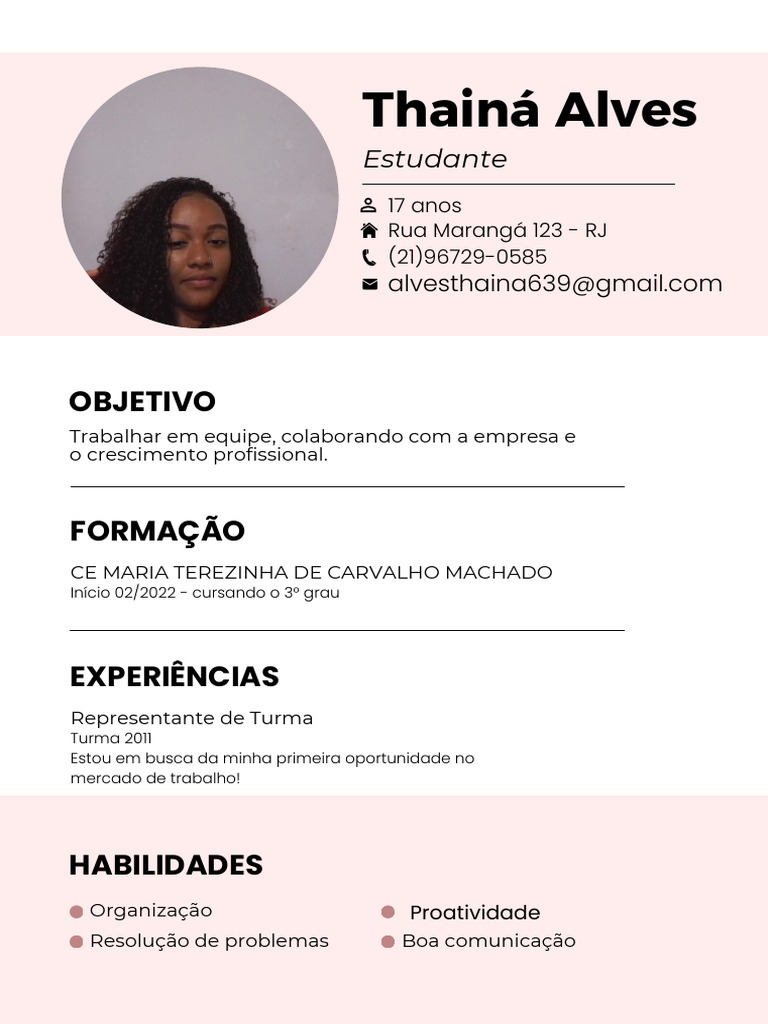 frase para objetivo de currículo