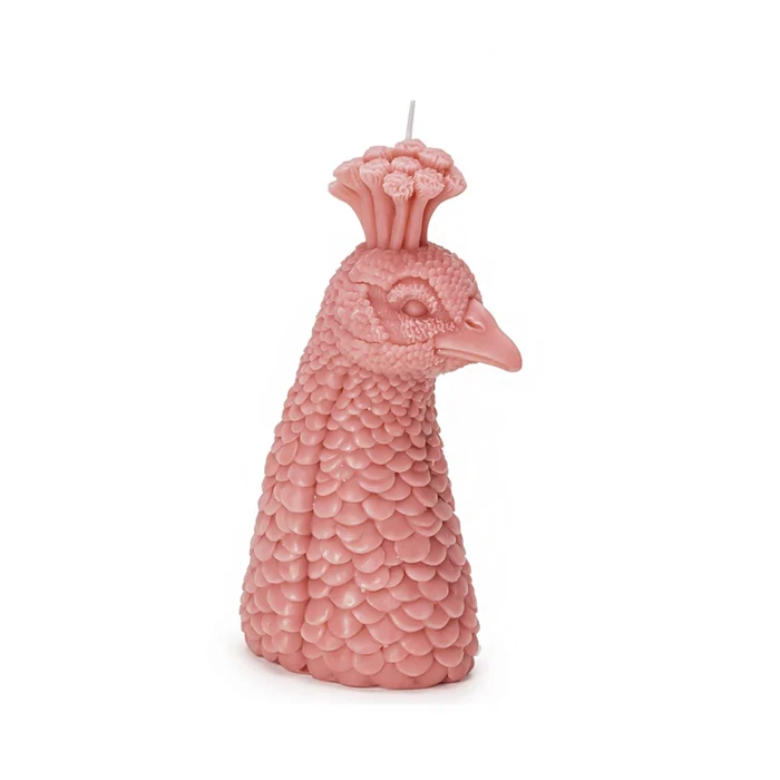 pavão branco com olhos rosados