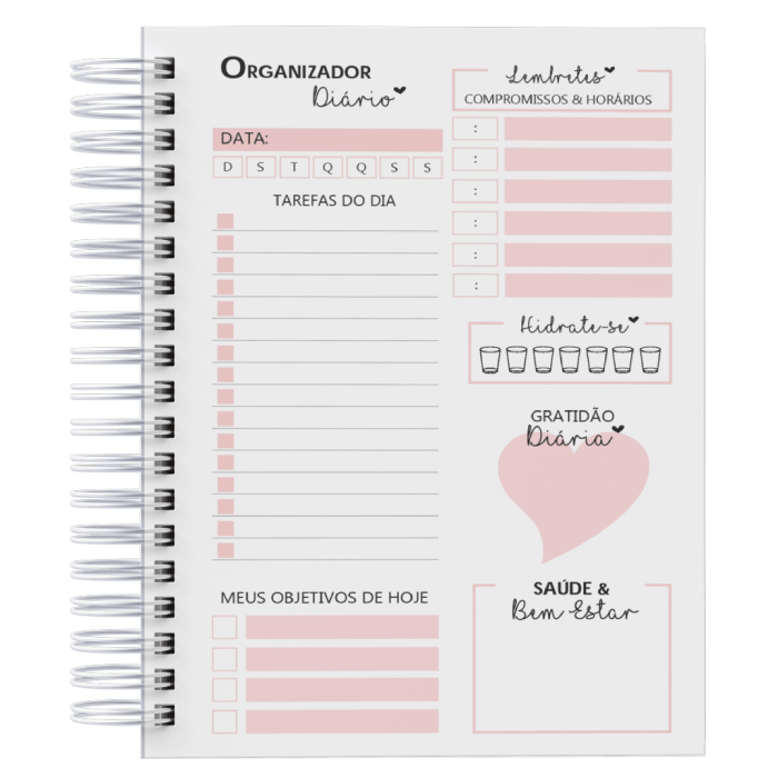 agenda diária vs planner diário