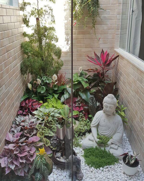 plantas para varanda pequena com pouca luz