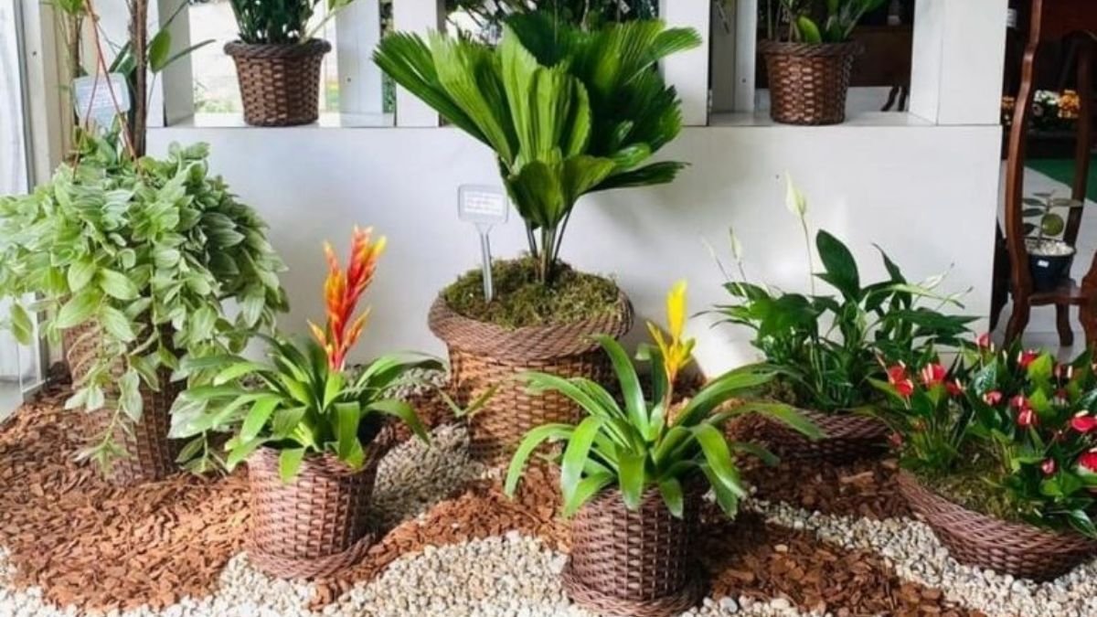 como decorar jardim de inverno pequeno