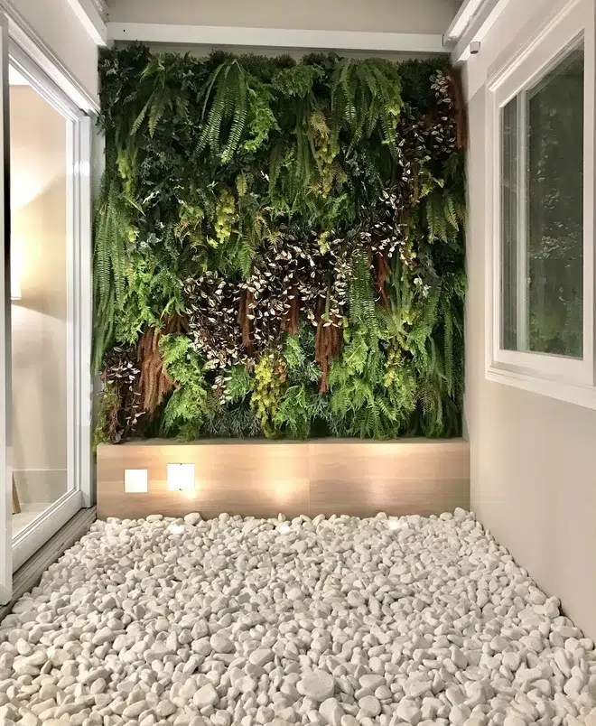 plantas que não precisam de sol direto para apartamento