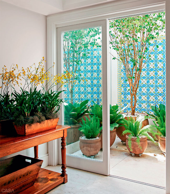 plantas que não precisam de sol direto para apartamento