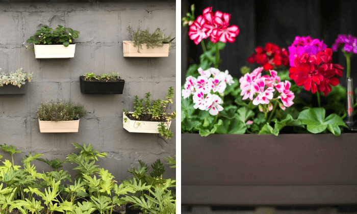 ideias de paisagismo para jardins de inverno compactos