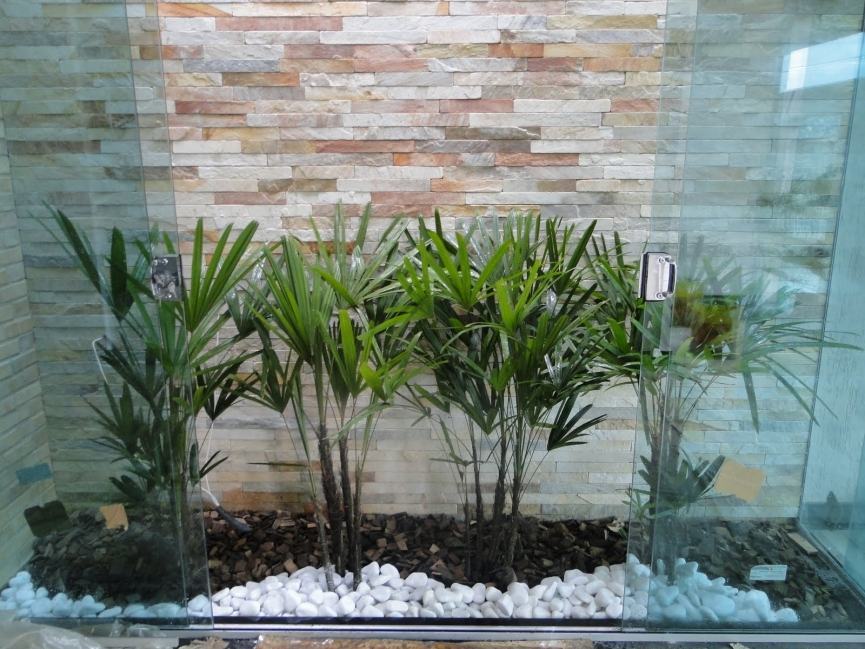 plantas fáceis de cuidar para iniciantes em jardinagem interna