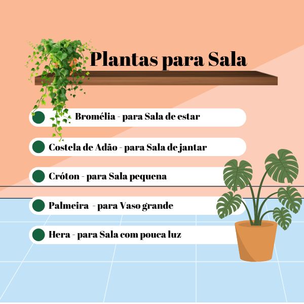 plantas fáceis de cuidar sala