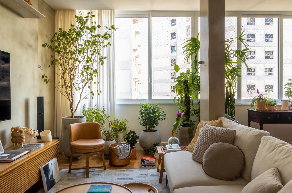 melhores plantas para apartamento sala