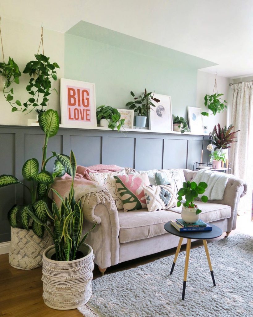 plantas que não precisam de sol na sala