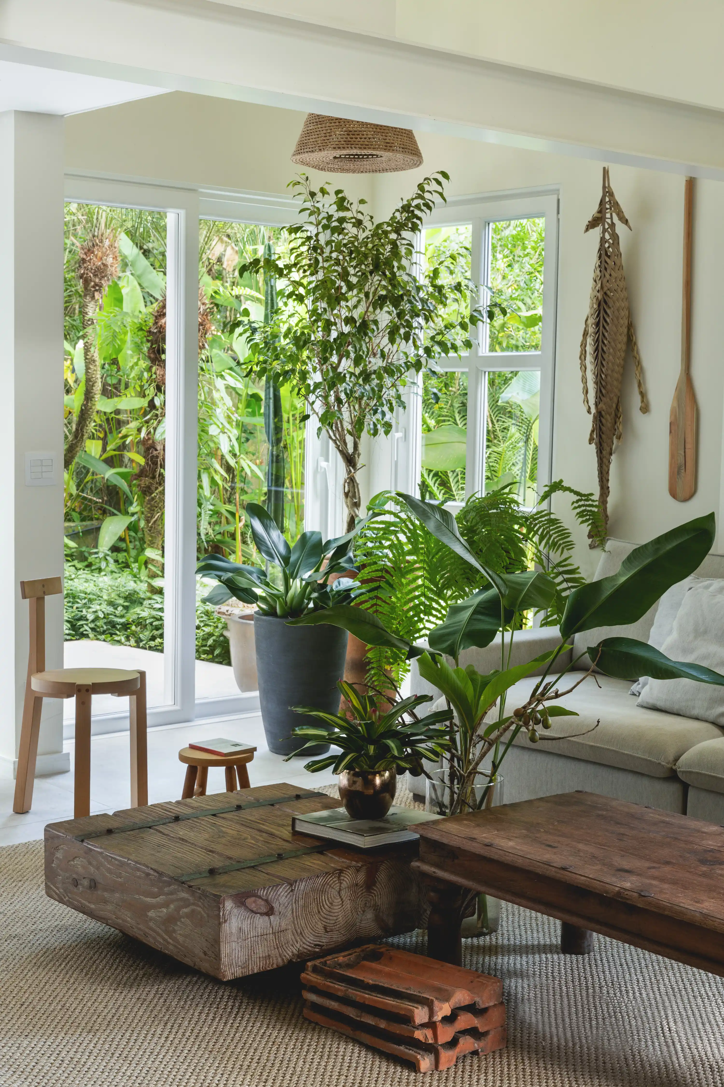 plantas pendentes para sala