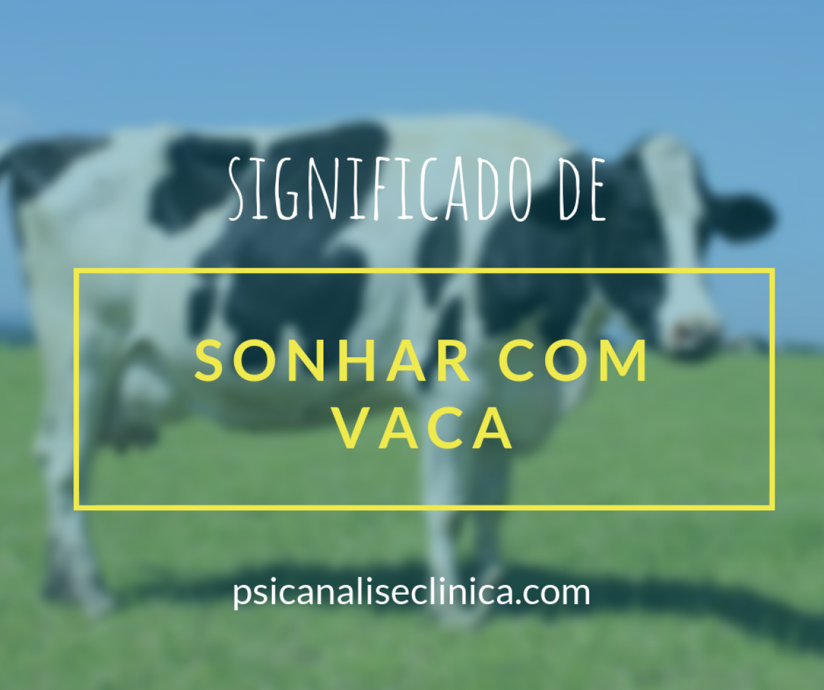 sonhar com touro bravo me atacando