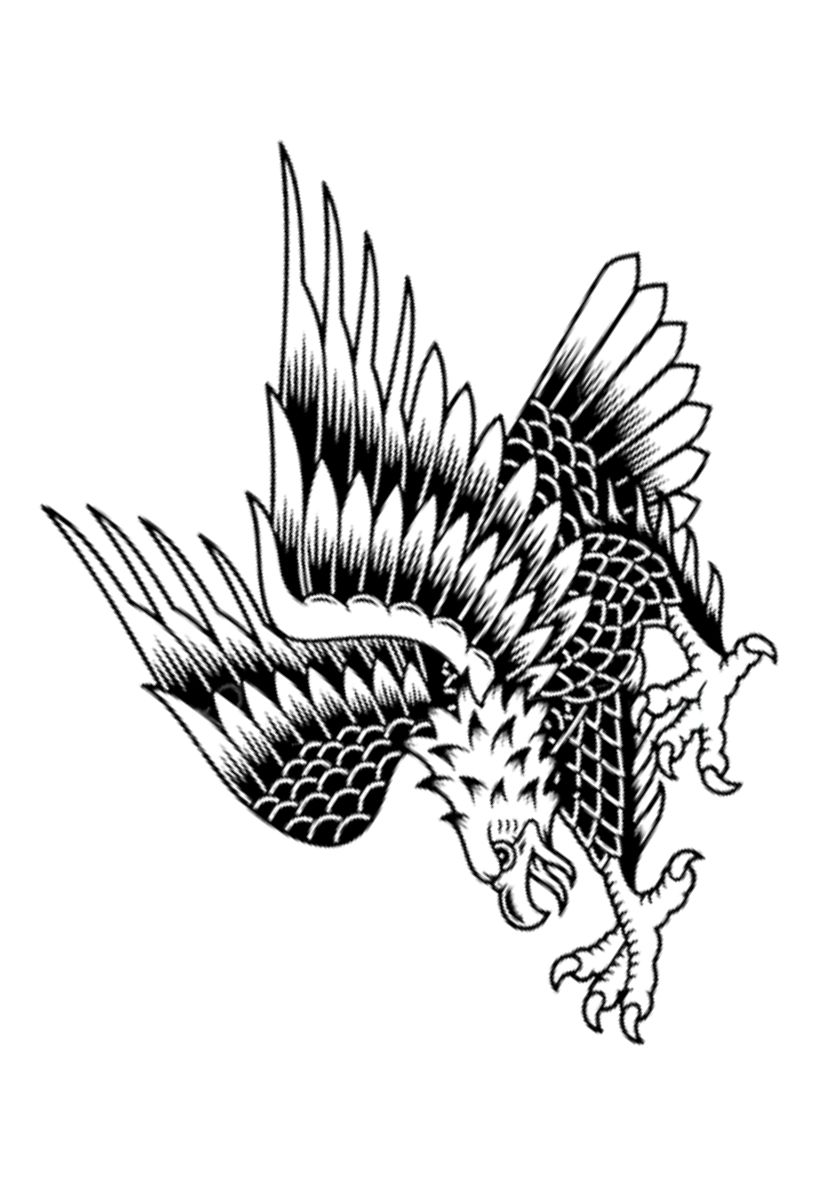 tatuagem de águia braço
