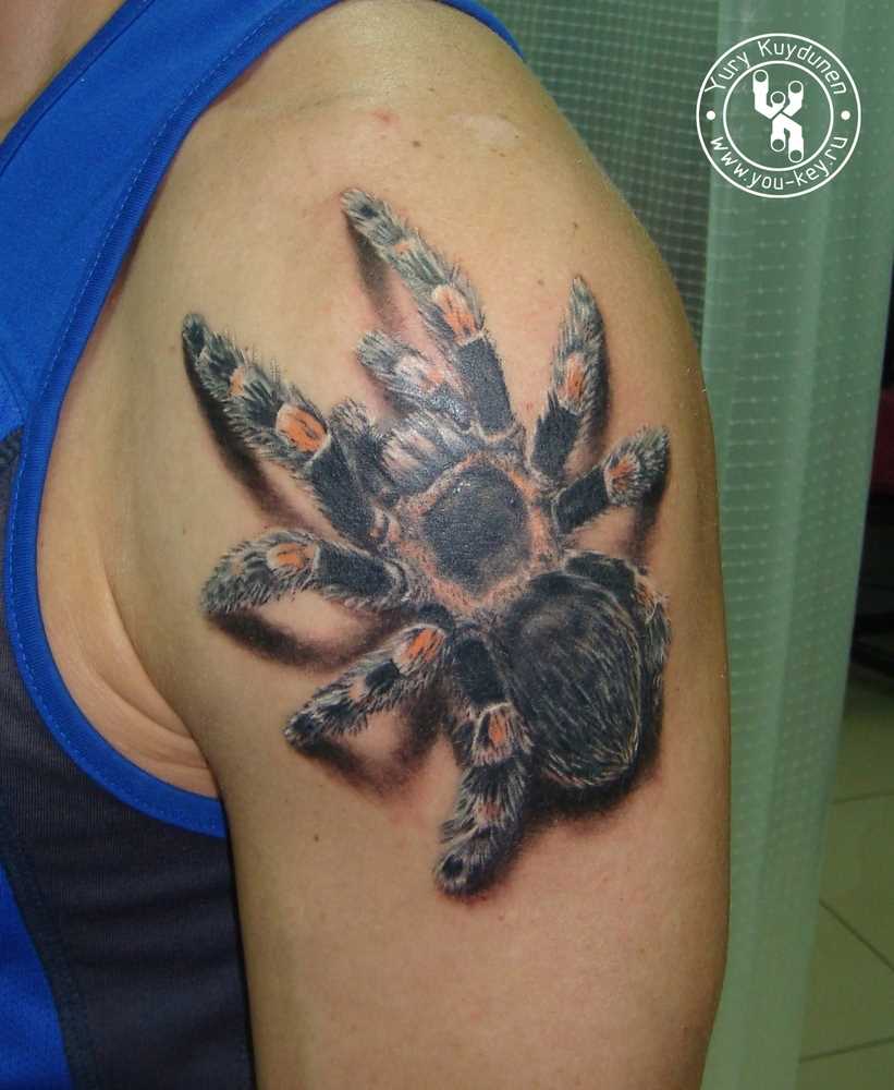 tatuagem aranha