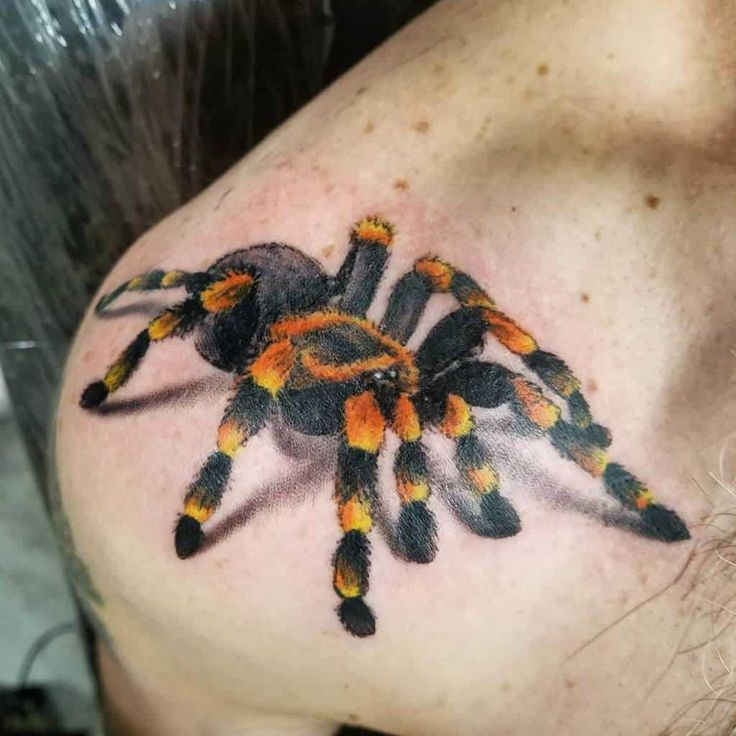 tatuagem aranha