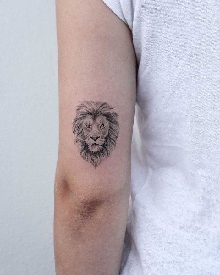 tatuagem leão coroa