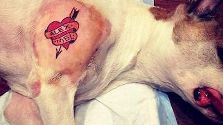 tatuagem segura