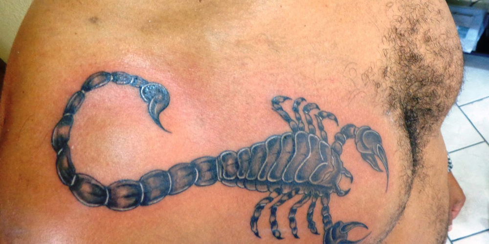 tatuagem escorpião intenção de busca