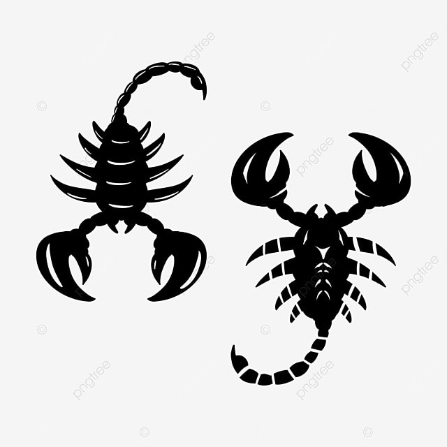 tatuagem escorpião alerta