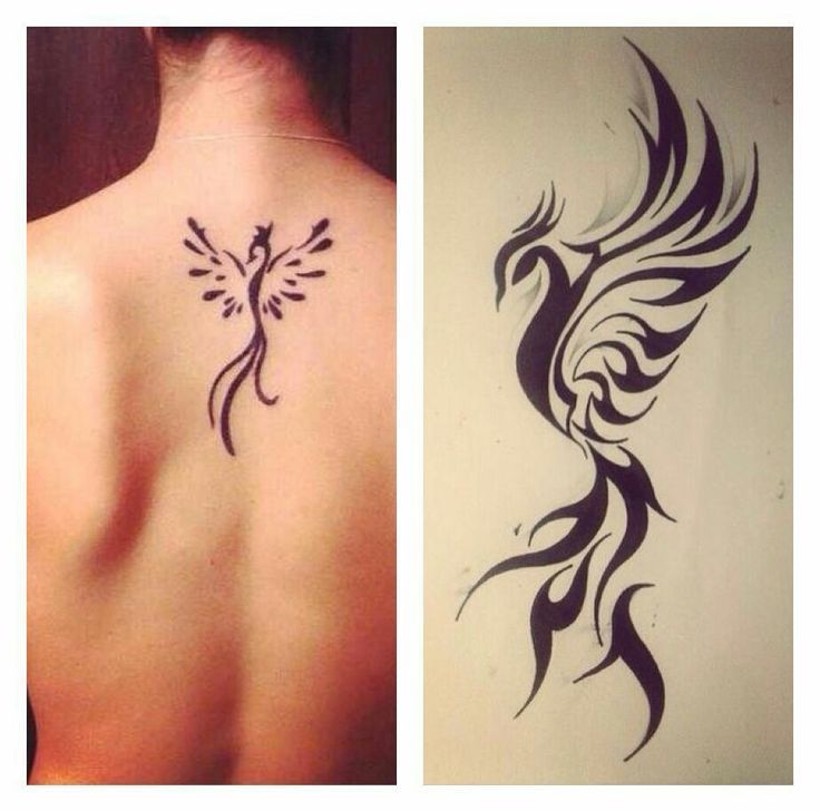tatuagem fênix preta e cinza feminina