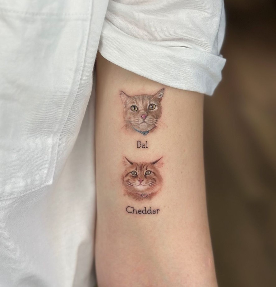 tatuagem gatinho delicada
