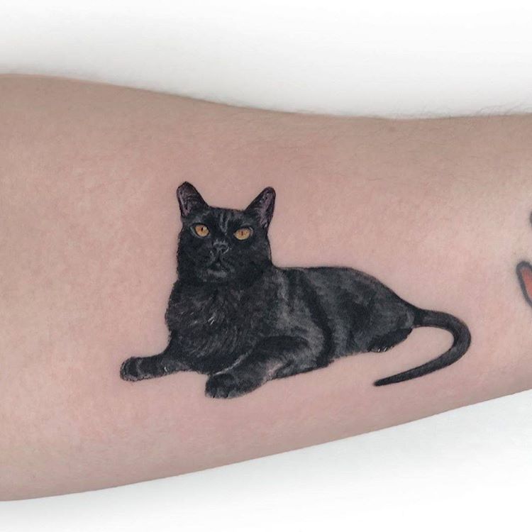 tatuagem gato minimalista