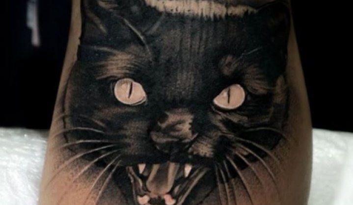 tatuagem gato realista