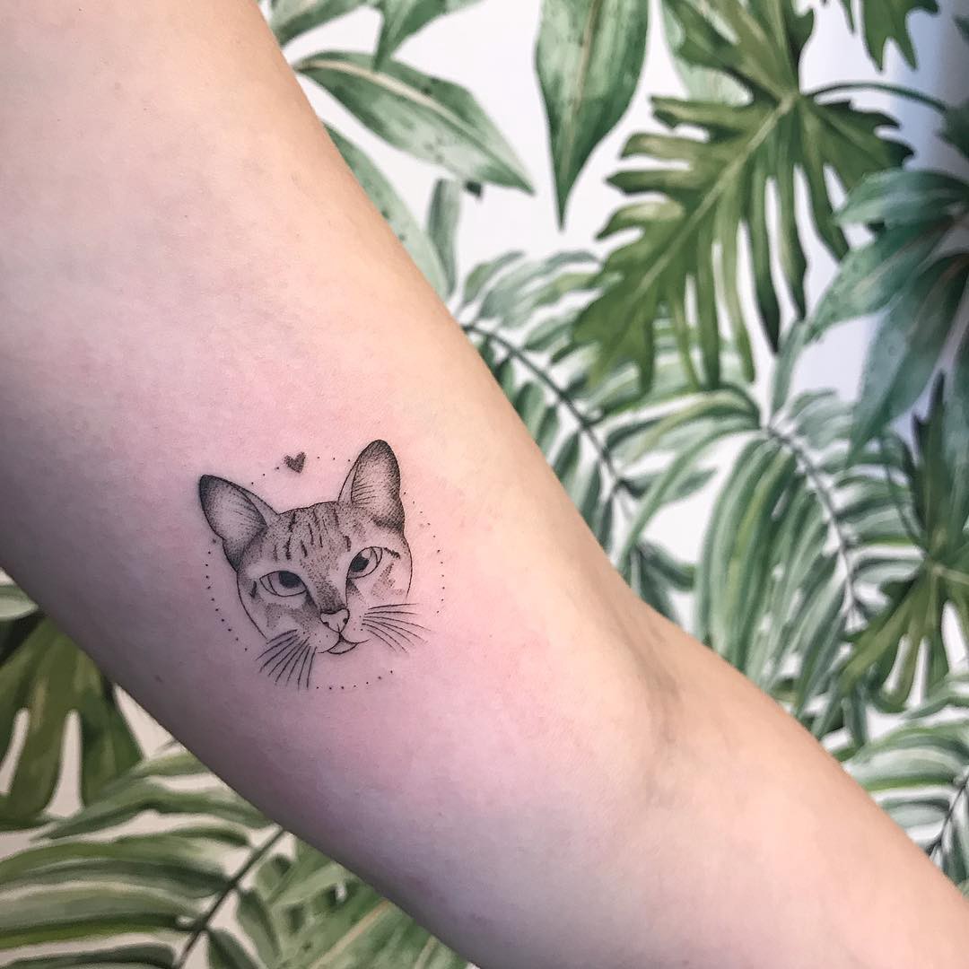 tatuagem gato realista